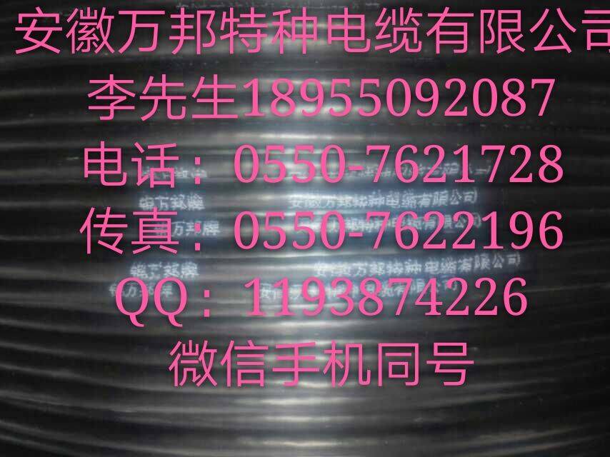 安徽万邦电缆     JYJ-0.75 JYJ-1.5 JYJ-2.5 JYJ-4 JYJ-6 JYJ-10