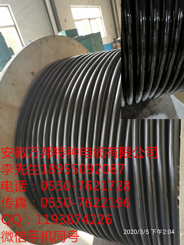 安徽万邦，HTKGGP  3*1.0  硅橡胶控制电缆 HTKGG HTKGGP HTKGGX