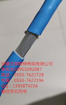 安徽万邦特种电缆有限公司，高温电缆，FF46-1  FE85/SC  JHYJPJP