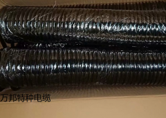 WBTHYVR    弹簧电缆
