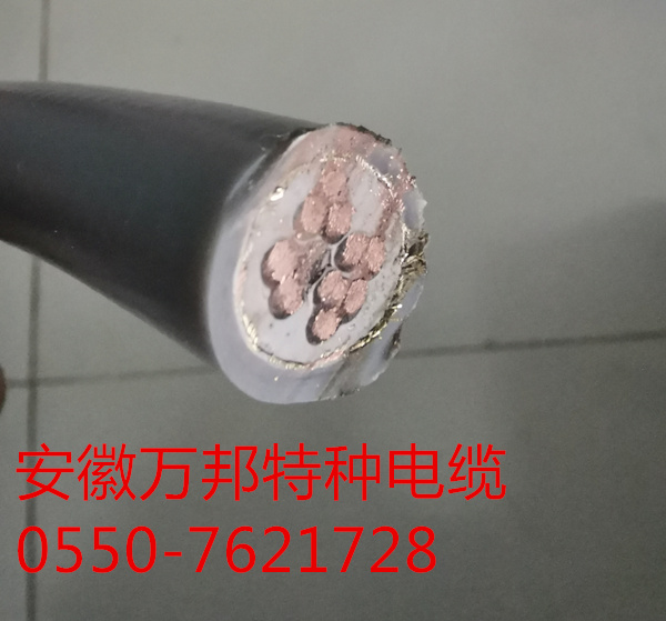 EKM71983 PUR双护套屏蔽高度拖链电缆