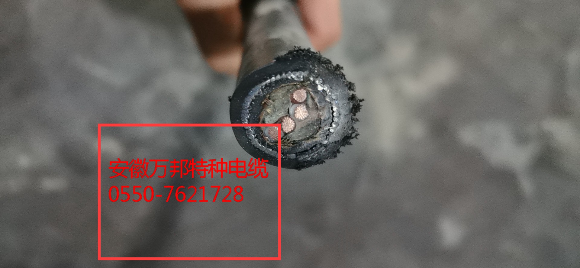16079110868247.jpg 1f0b05186b59fca6dd6e5d6da836fd8_WPS图片.jpg