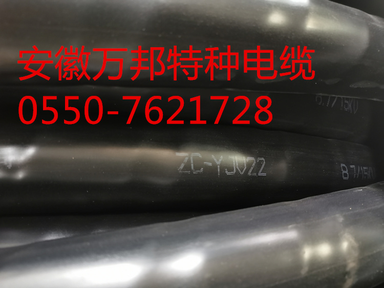 ZR-KVVP2-22/3*1.5mm2\450/750V