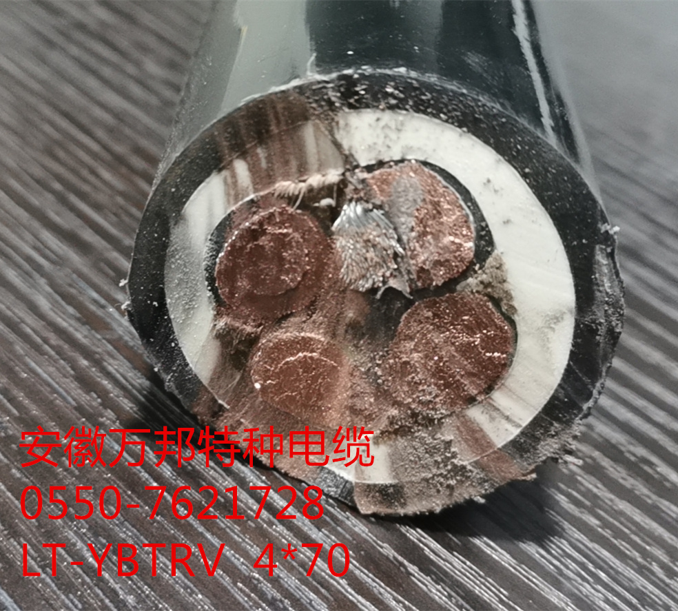 16117979459504.jpg W13.jpg