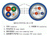 MHY32钢丝铠装通信电缆